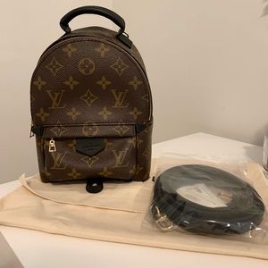 Louie Vuitton Palm Springs mini backpack